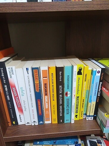 İknanın psikolojisi