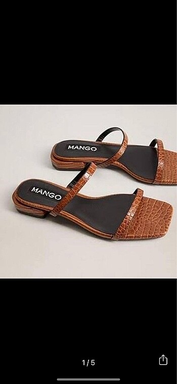 Mango terlik