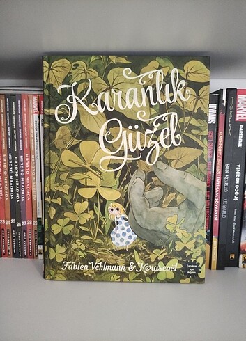 Karanlık Güzel Hardcover
