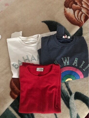 Üç adet sweetshirt