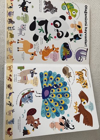 Çocuk Kitabı Yapı Kredi Yayınları Büyk Sorular Kitabım - Hayvanl - Görsel 5