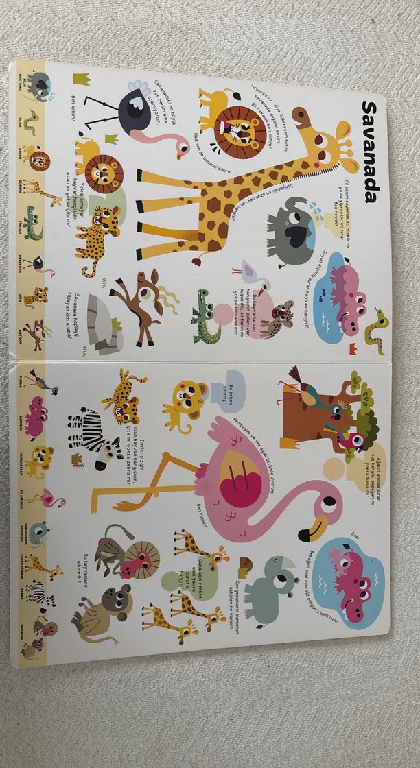 Çocuk Kitabı Yapı Kredi Yayınları Büyk Sorular Kitabım - Hayvanl - Görsel 4