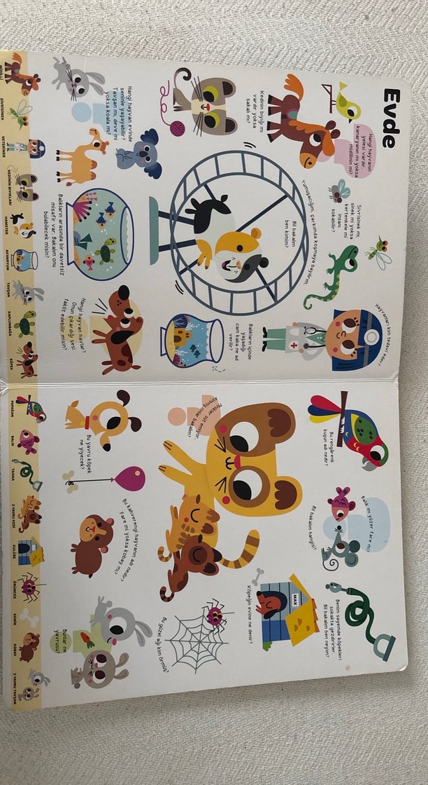 Çocuk Kitabı Yapı Kredi Yayınları Büyk Sorular Kitabım - Hayvanl - Görsel 2