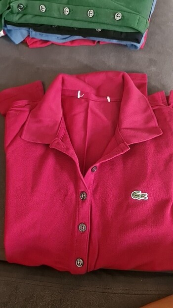 Lacoste Orijinal lacoste bayan