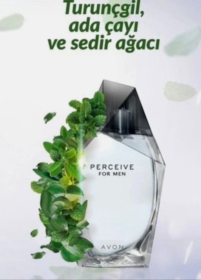 Avon Perceive for Men  Erkek Parfümü 100 ml - Görsel 2