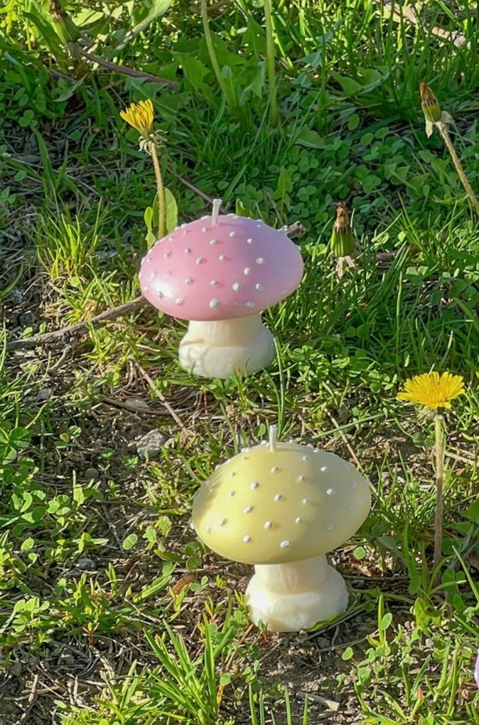 Pastel Renkli Dekoratif Mantar Mum - Görsel 2