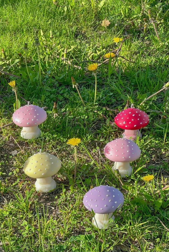 Pastel Renkli Dekoratif Mantar Mum - Görsel 3