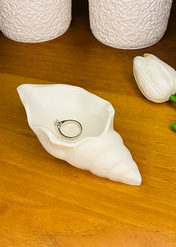 Deniz Kabuğu - Organizer - Takılık - Görsel 2