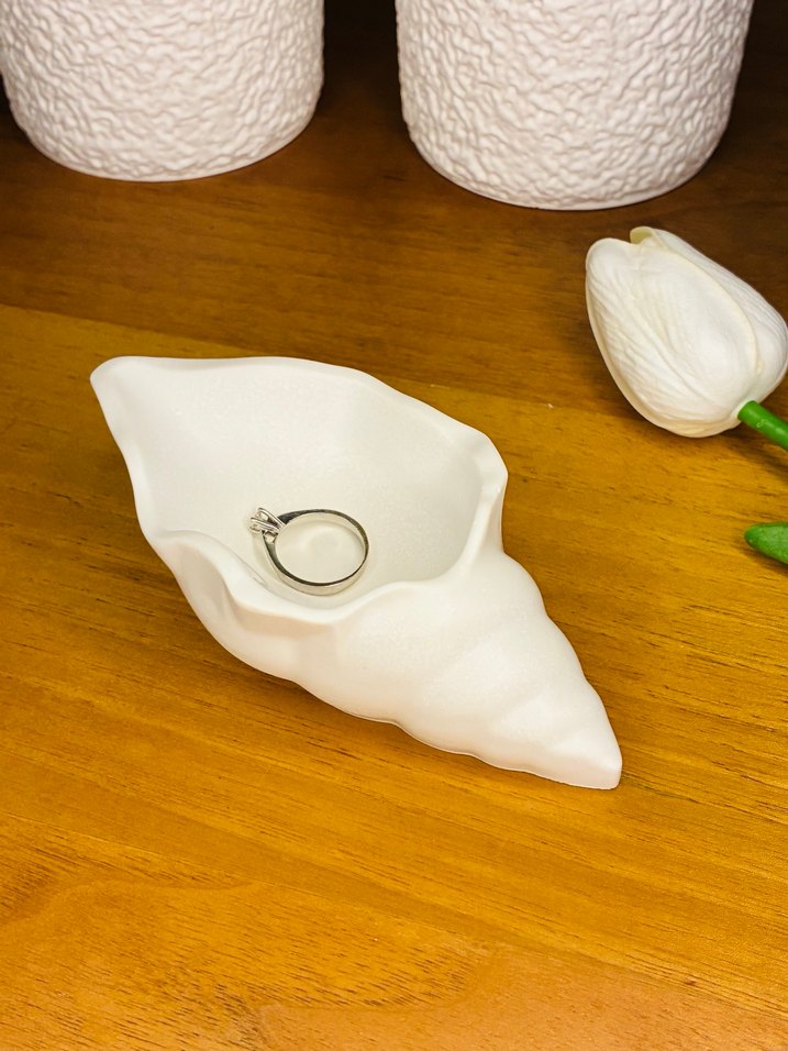 Deniz Kabuğu - Organizer - Takılık - Görsel 2