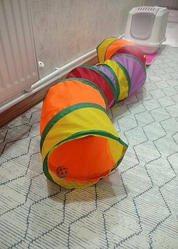 Kedi Tüneli