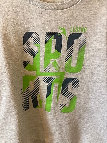 6 Yaş Beden LcWaikiki Erkek Çocuk Sweatshirt (5-6 yaş)