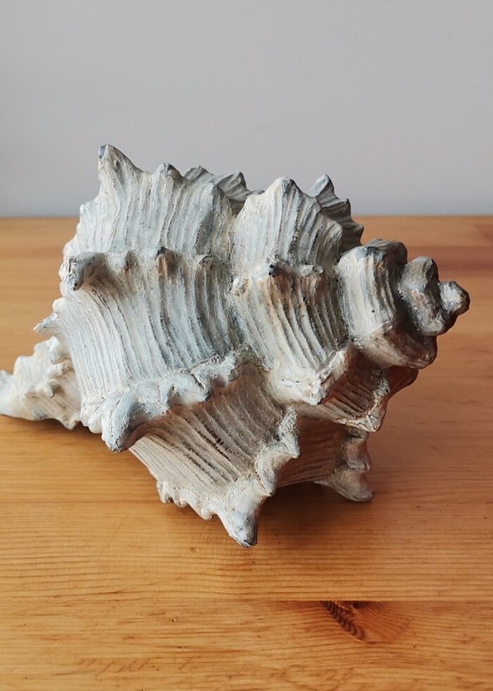 DENİZ KABUĞU OBJE - Görsel 2