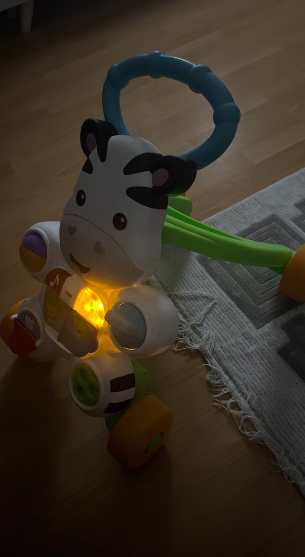 Renkli Zebra Desenli Bebek Yürütücü - Görsel 3