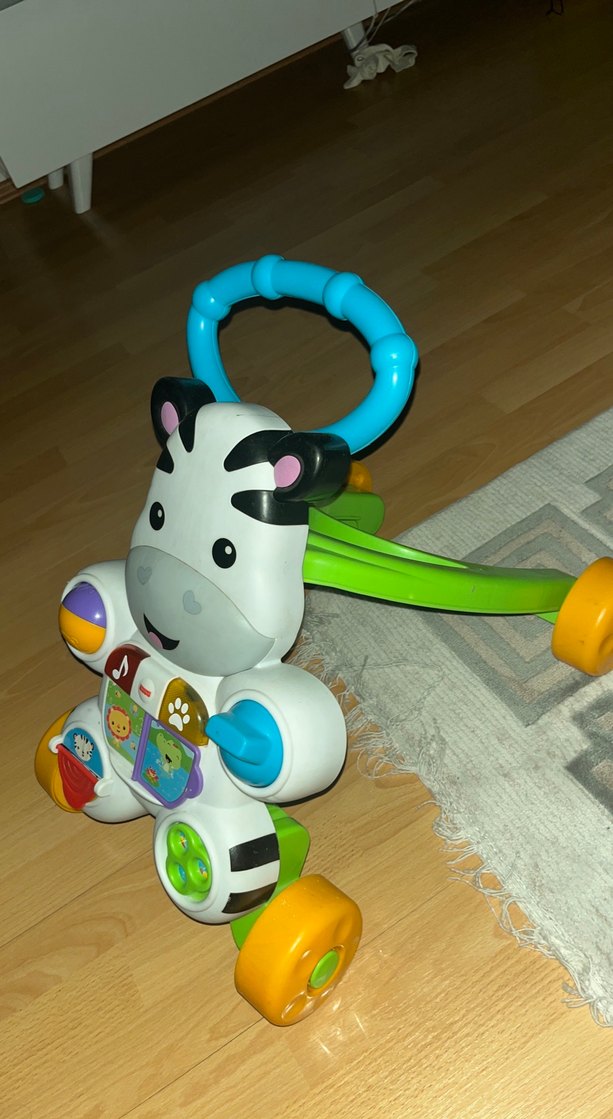 Renkli Zebra Desenli Bebek Yürütücü - Görsel 2