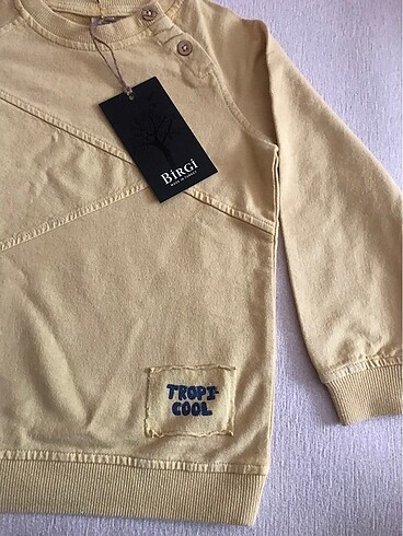 LC Waikiki Erkek çocuk sweatshirt
