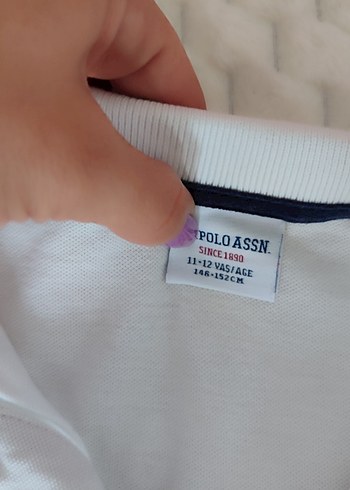 Beyaz USPA Erkek Polo Tişört - Görsel 2