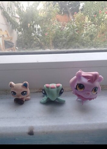Miniş ailesi