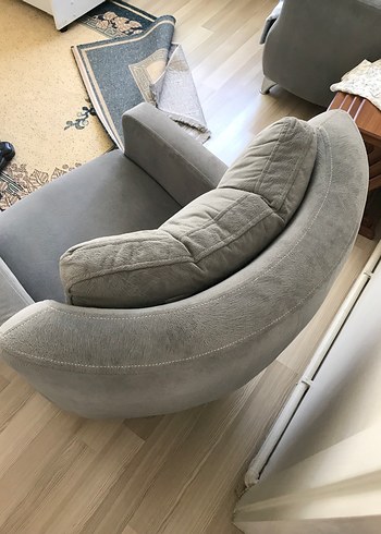 Gri tay tüyü berjer - Görsel 4