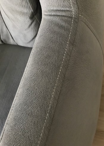 Gri tay tüyü berjer - Görsel 3