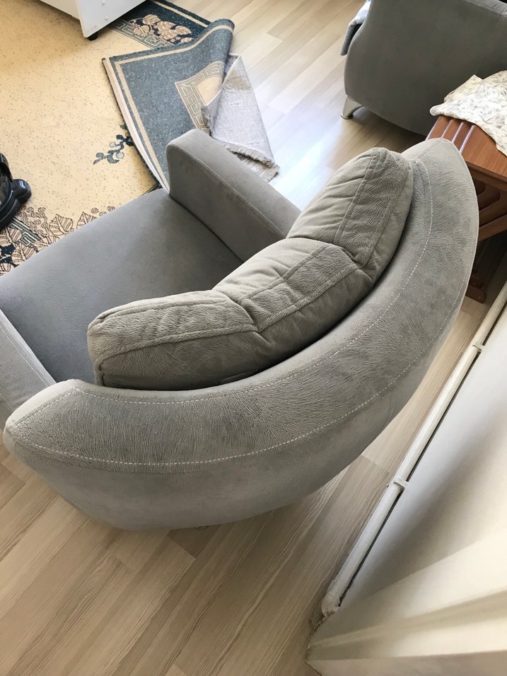 Gri tay tüyü berjer - Görsel 4