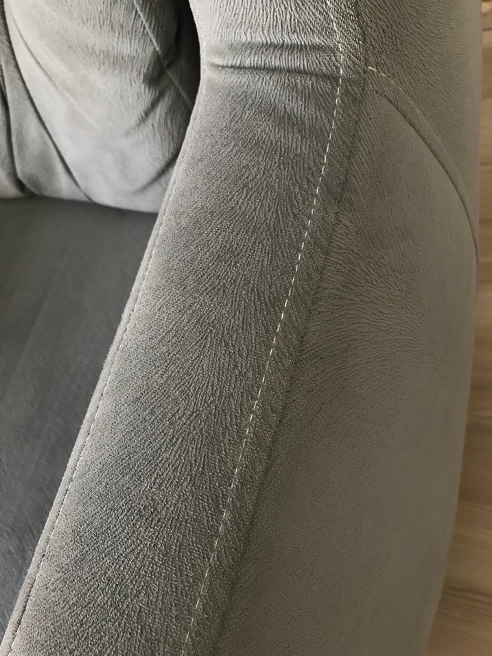 Gri tay tüyü berjer - Görsel 3