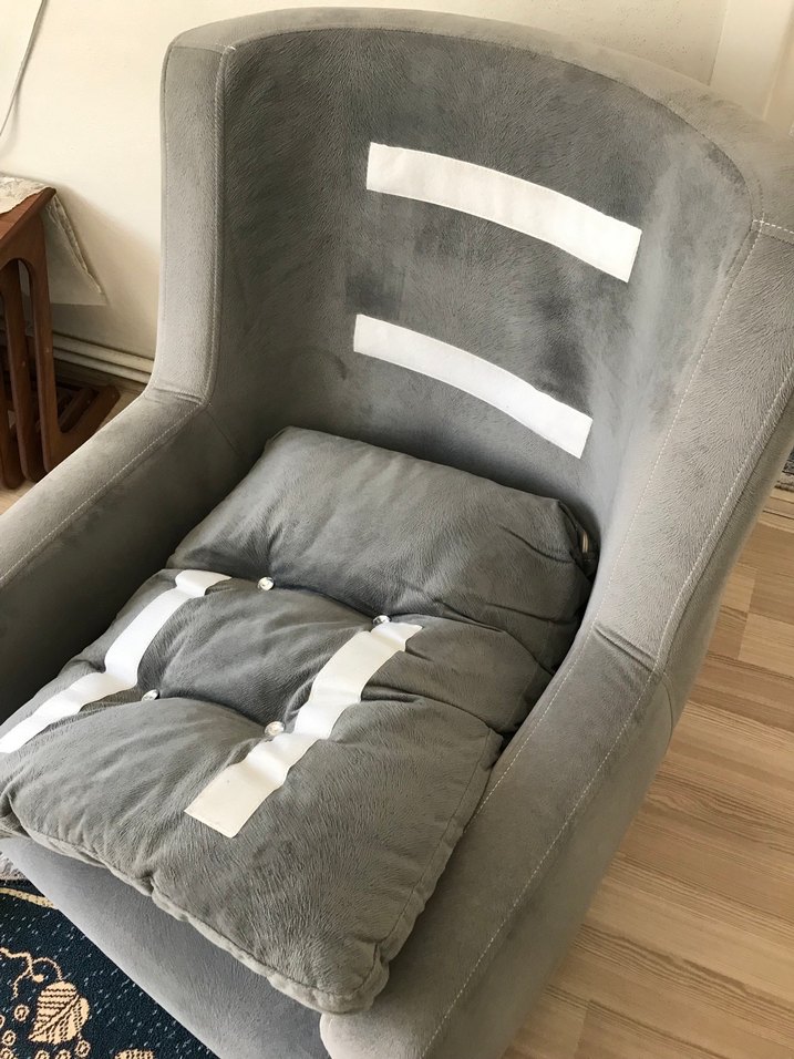 Gri tay tüyü berjer - Görsel 5