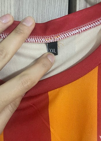 Erkek Kısa Kollu Galatasaray Formalı Tişört - Görsel 2