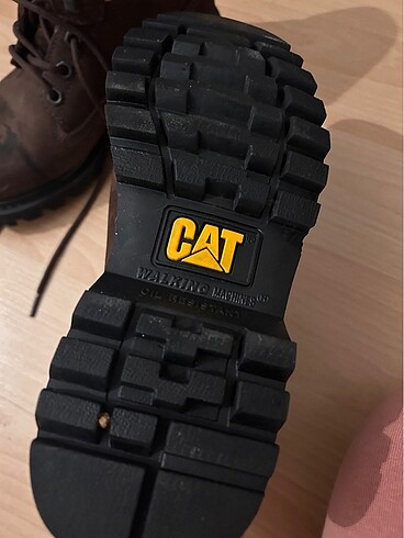 Cat Cat bot