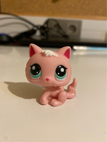 Pembe orta boy kedi miniş