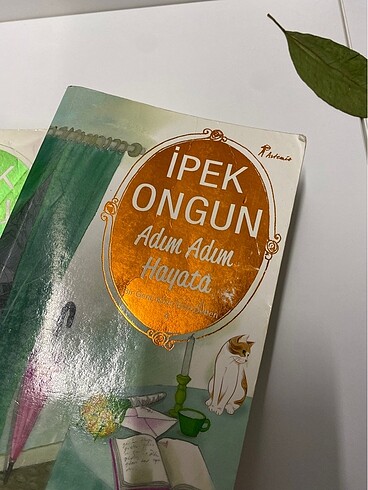 Beden Bir Genç Kızın Gizli Defteri - İpek Ongun 1,2 ve 4. kitaplar