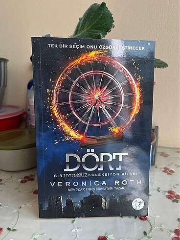Uyumsuz serisi-4 (son kitap)