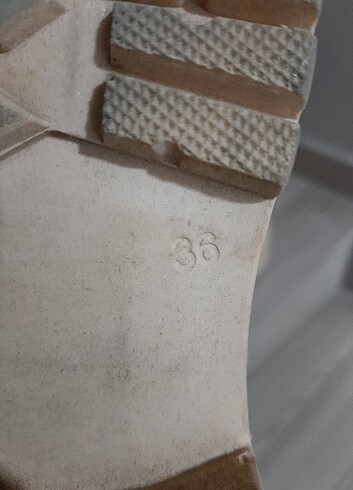36 Beden Bayan bot
