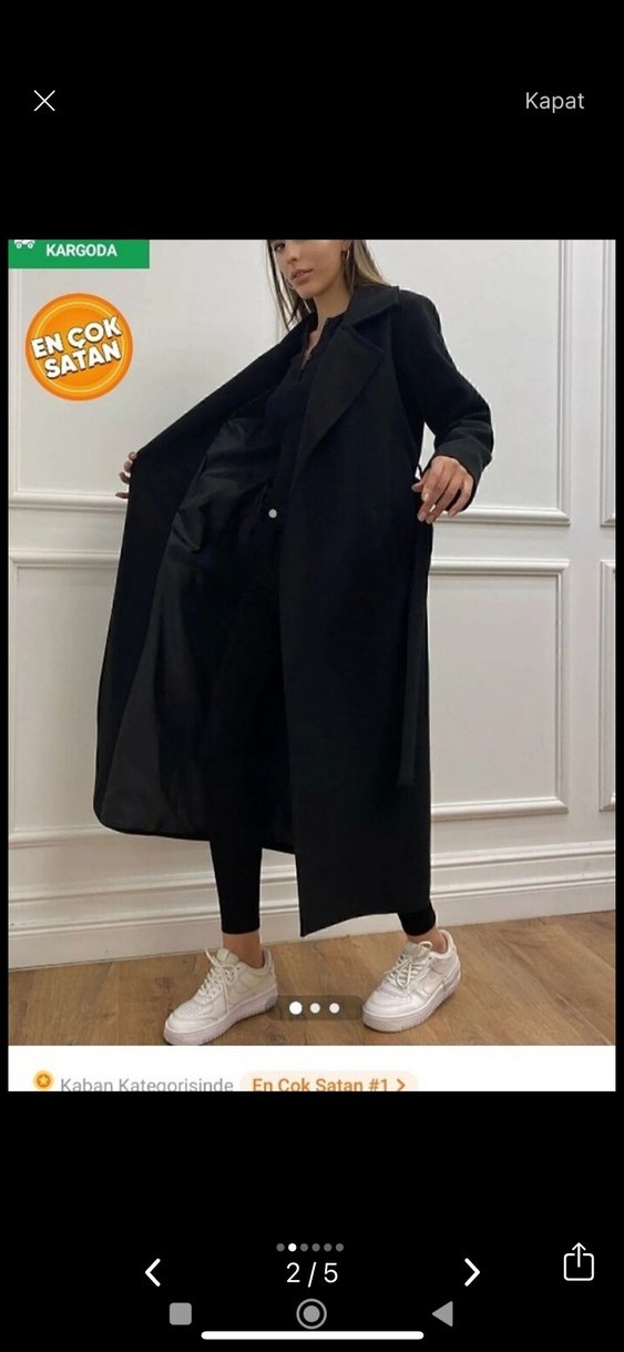 Siyah Kuşaklı Kaban - Görsel 2