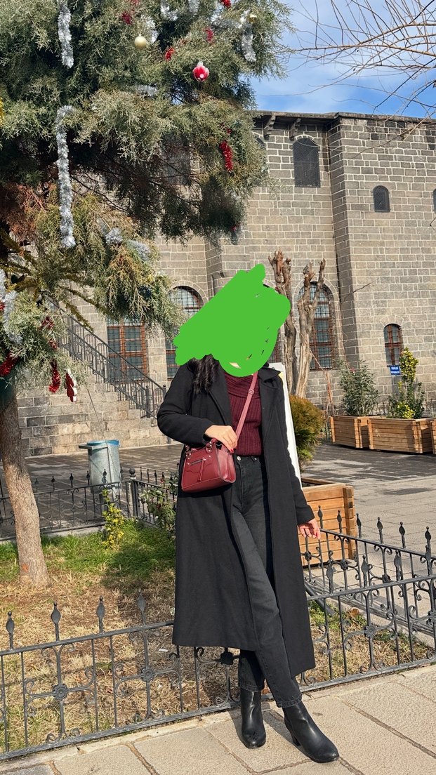 Siyah Kuşaklı Kaban - Görsel 3