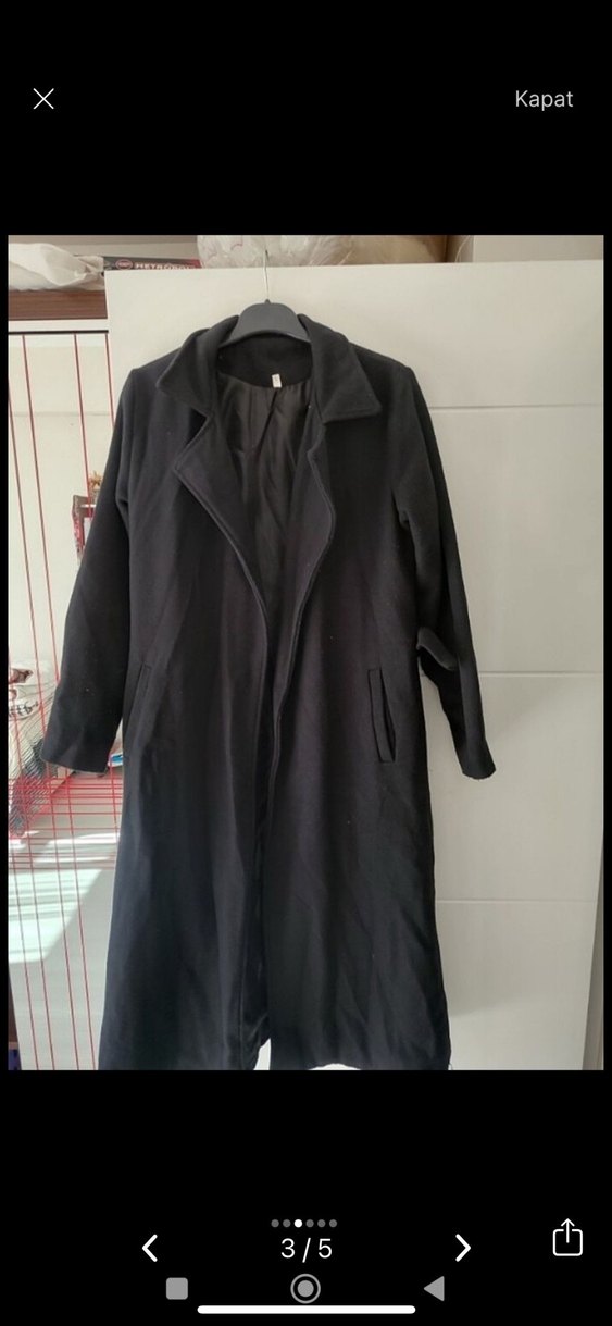 Siyah Kuşaklı Kaban - Görsel 4