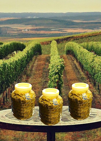 Viniferia Salamura Yaprak - Görsel 5