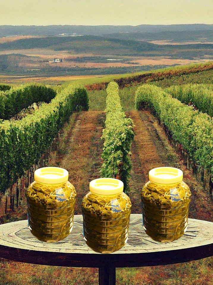 Viniferia Salamura Yaprak - Görsel 5