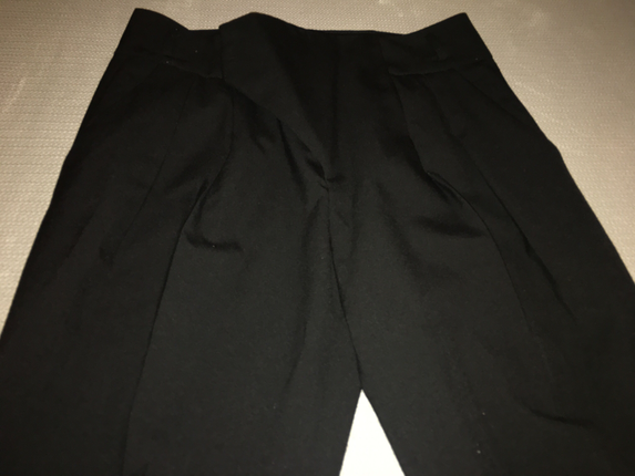 Zara Zara pant