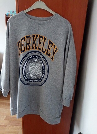Kadın Berkeley sweatshirt