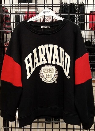 Harvard sweatshirt