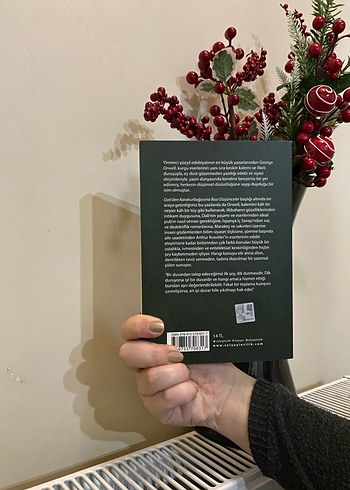 Daliden kurbağası bazı düşünceler - Görsel 2