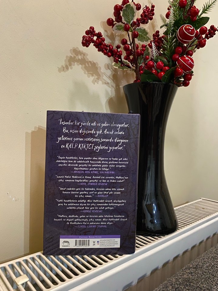 Alice Hakkındaki Gerçek - Jennifer Mathieu - Görsel 2