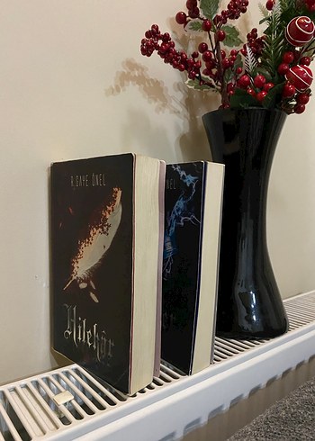 Hilekar ve Lider - Görsel 2