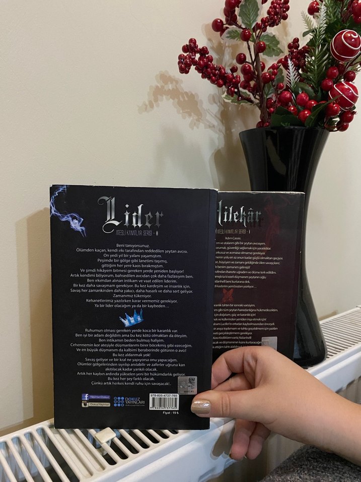 Hilekar ve Lider - Görsel 3