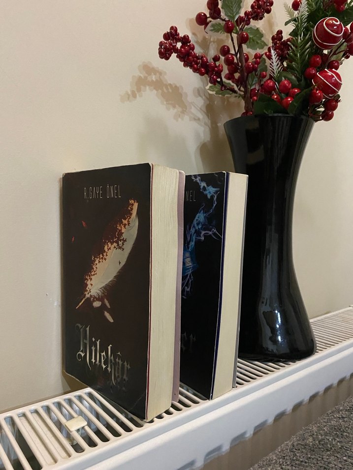 Hilekar ve Lider - Görsel 2