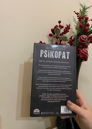 Psikopat serisi - Mihri Mavi - Görsel 2