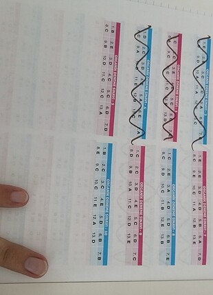  Beden 2021 Ayt kimya ve organik denemeleri