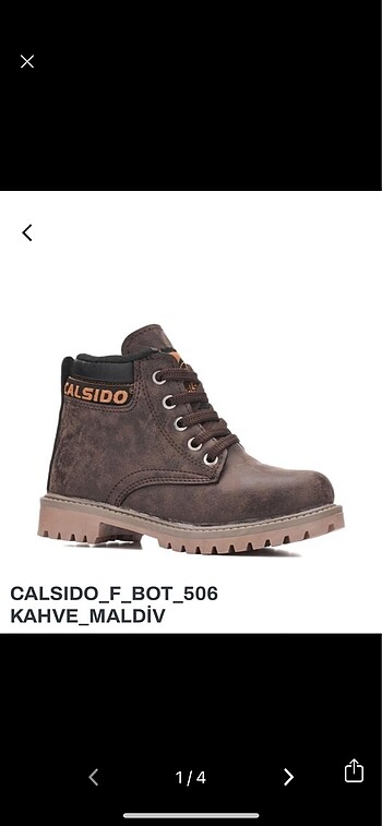 CALSIDO BOT