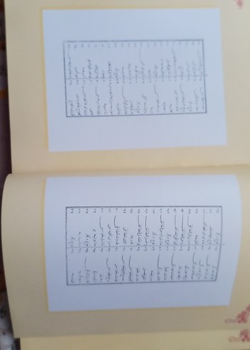 Melceü't-Tabbahın İlk Basılı Türkçe Yemek Kitabı - Görsel 3