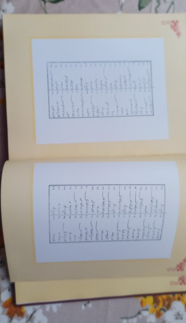 Melceü't-Tabbahın İlk Basılı Türkçe Yemek Kitabı - Görsel 3